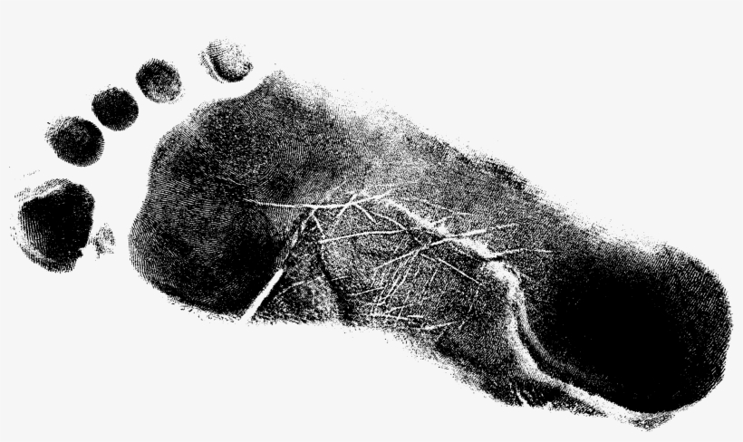 Grunge Footprint Png - Monochrome, transparent png download