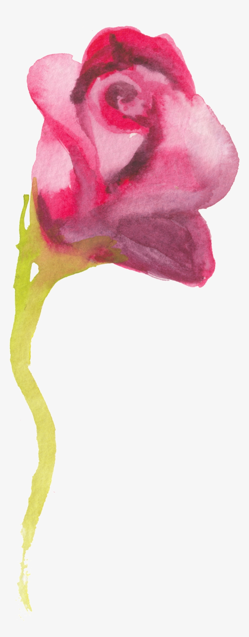 This Graphics Is Ink Red Rose Transparent Decorative - Watercolor Painting, transparent png download