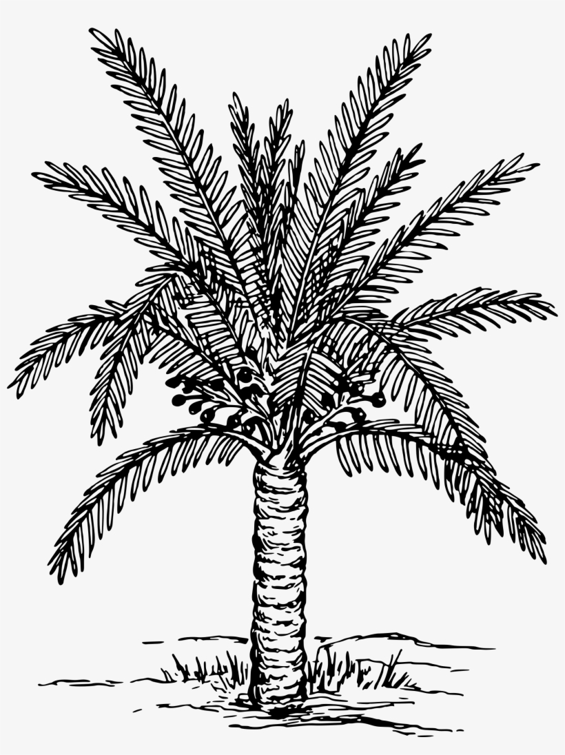 10 Best Things to Do in Oahu in January 2026 (Plus Free Activities!), image size:820x1096