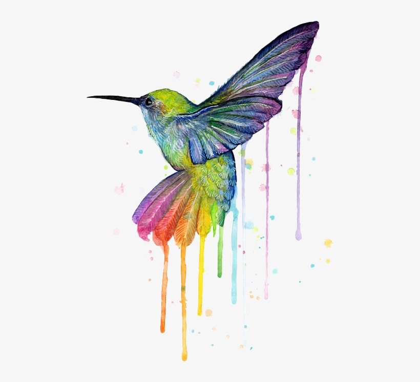 Report Abuse - Rainbow Hummingbird, transparent png download