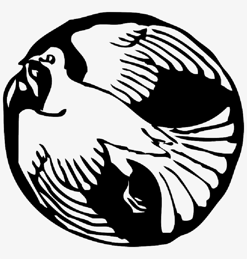 Mb Image/png - Doves Flying In Circles, transparent png download