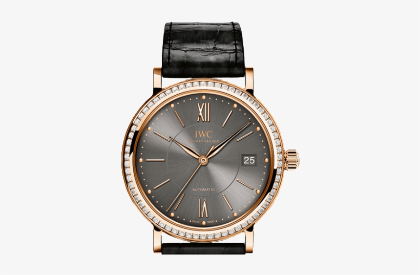 Year Of The Dragon - Iwc Portofino, transparent png download
