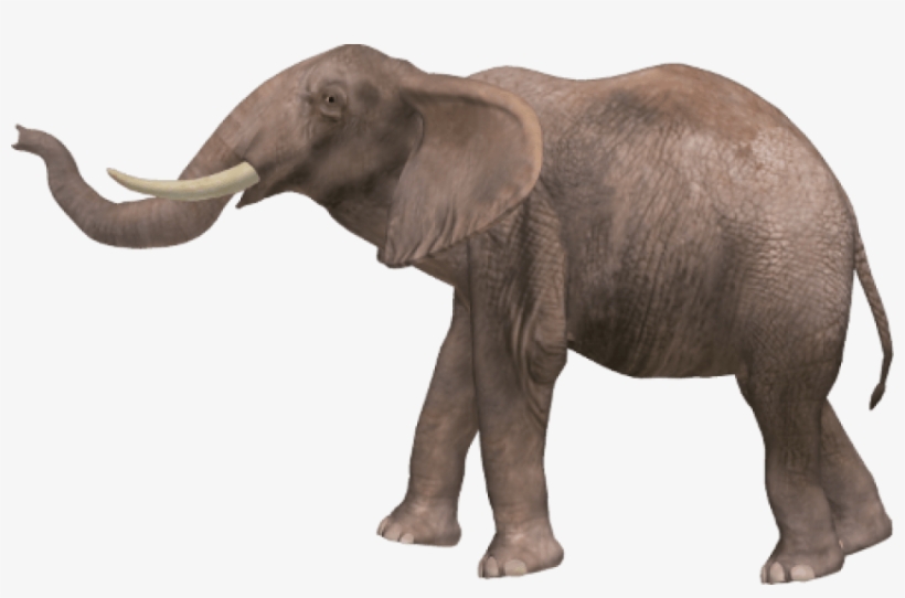 Elephant Png Pic - Elephant Png, transparent png download