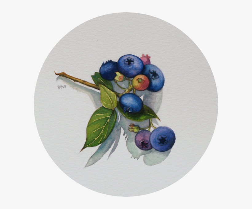 6 Inches Round - Blueberry, transparent png download