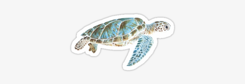 Sea Turtle Underwater Sticker By Savousepate On Redbubble - Sea Turtle Samsung Galaxy S5 Slim Case, transparent png download