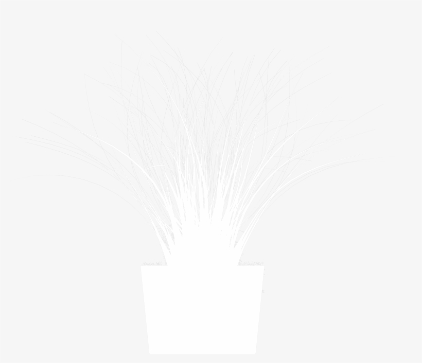 Bush Pot Plant White Clipart Png - Fireworks, transparent png download