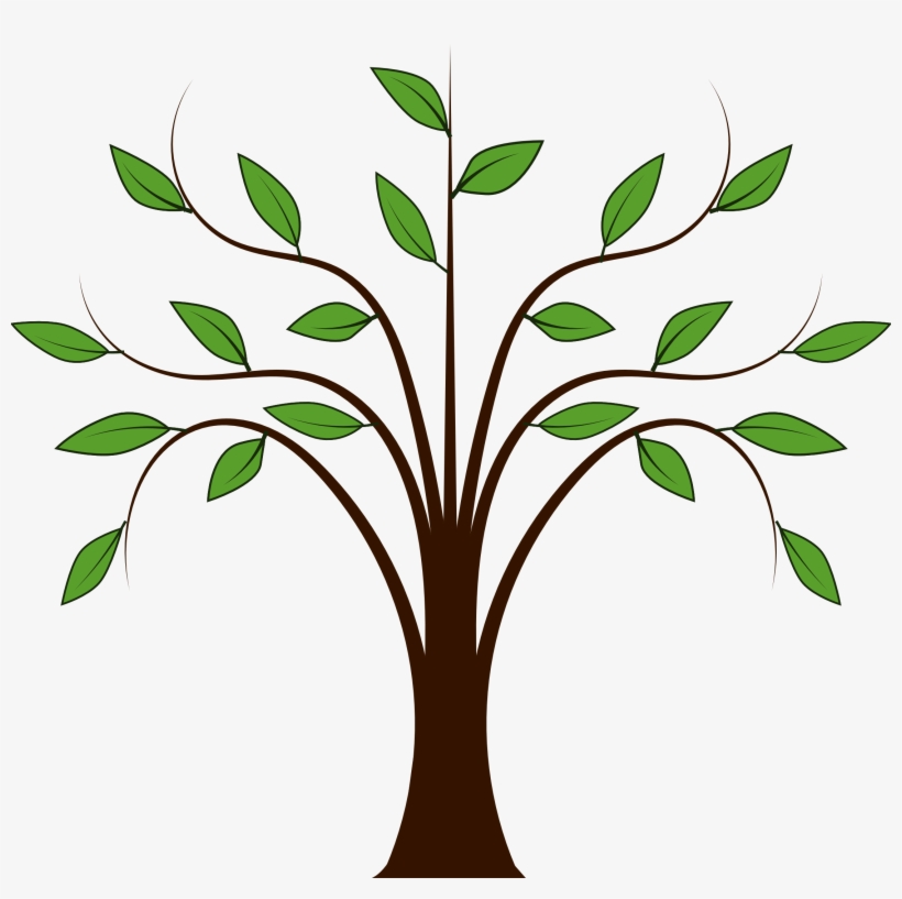 Tree Vector - Tree Clipart, transparent png download