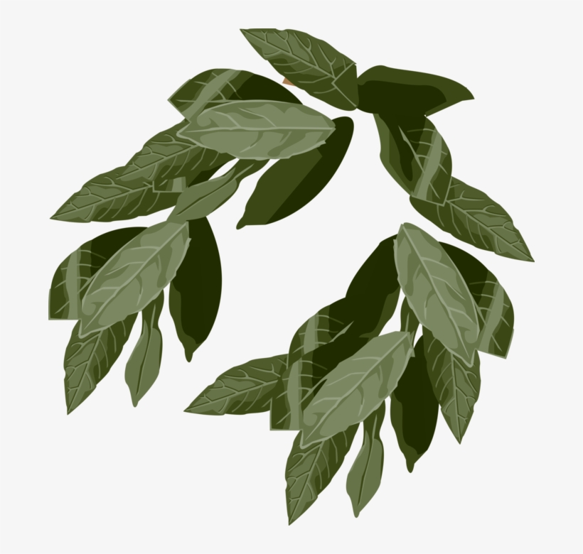 Ivy Crown - Illustration, transparent png download