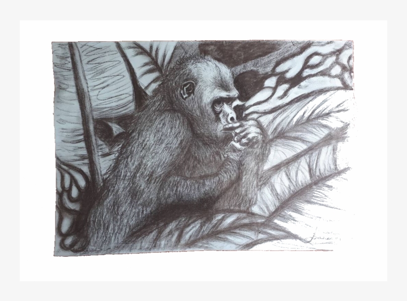 Picture With Charcoal Gorilla - Painting, transparent png download