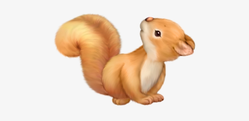 Squirrel Free Clip Art Pinterest - Cute Squirrel Png, transparent png download