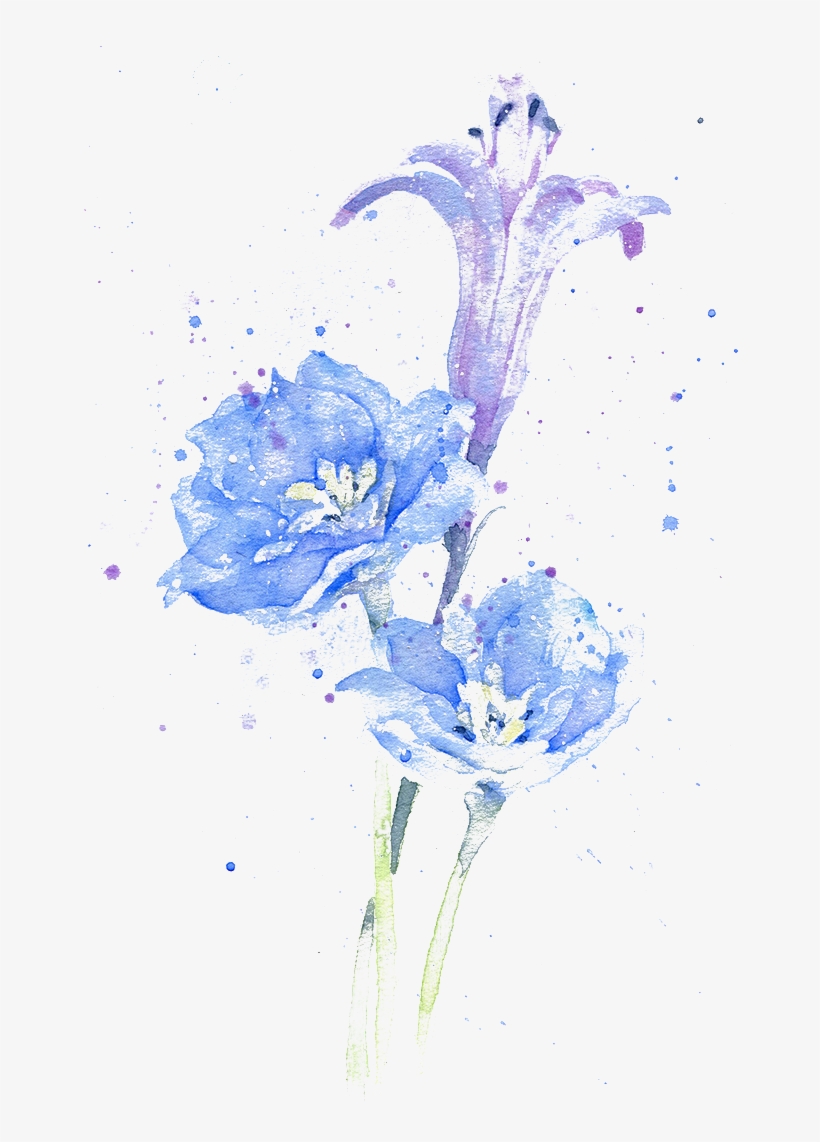 Delphinium Drawing Watercolor - Fondos De Agua En Png, transparent png download