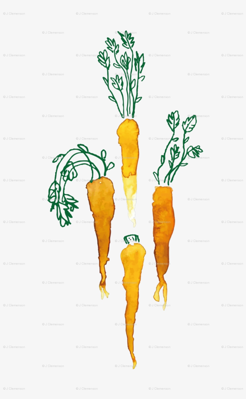 Carrot, transparent png download