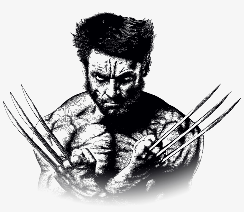 Graphic Design Drogheda, Web Design Drogheda, Illustration - Wolverine Png, transparent png download