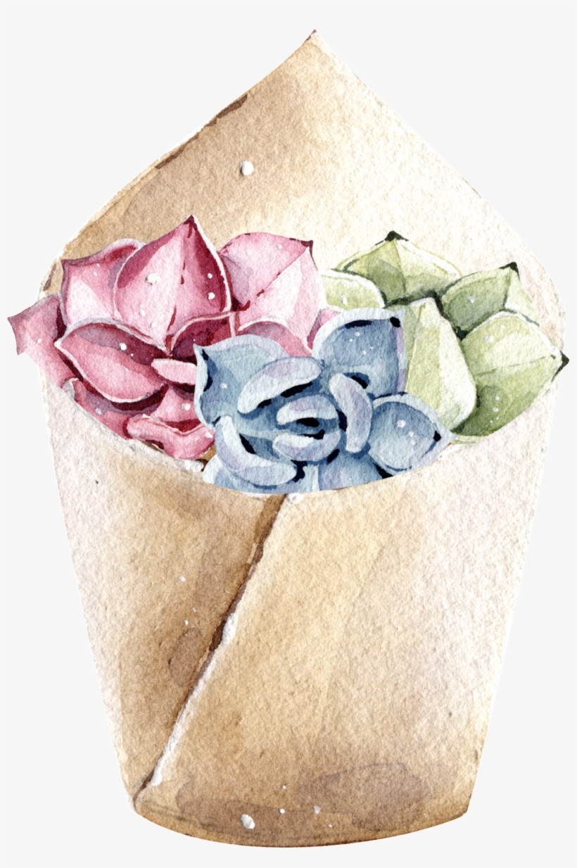 Red And Blue Succulents Watercolor Hand Painted Transparent - Watercolor Painting, transparent png download