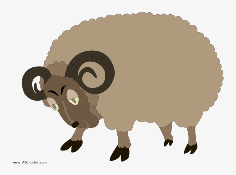Sheep, transparent png download