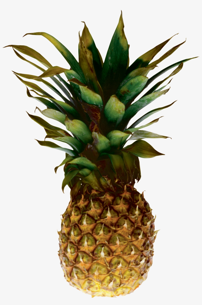 Pineapple Png Image, Free Download - Clip Art Pineapple Transparent Background, transparent png download
