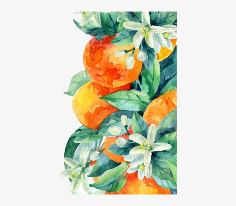Orange Leaves - Animal Jam Clans, transparent png download