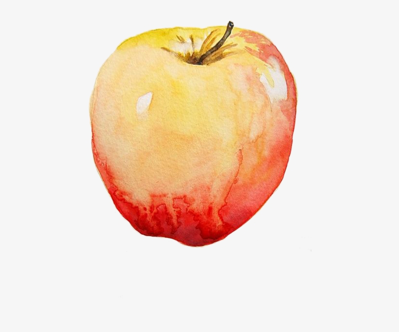 Javier Niqui - แอ ป เปิ้ ล สี น้ำ, transparent png download