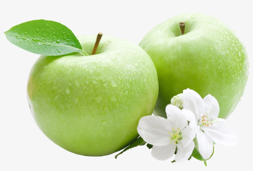 Fruits - Botany Of Horticultural Crops [book], transparent png download