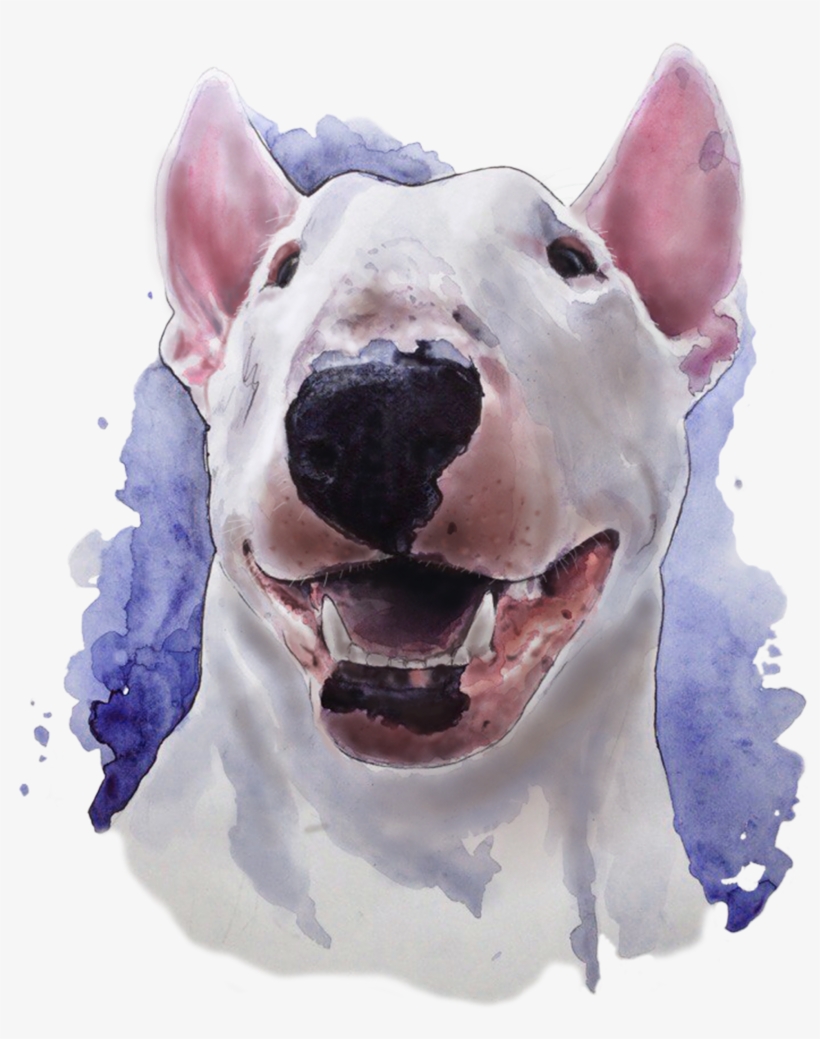 Bull Terrier, Watercolor - Bull Terrier Watercolor, transparent png download