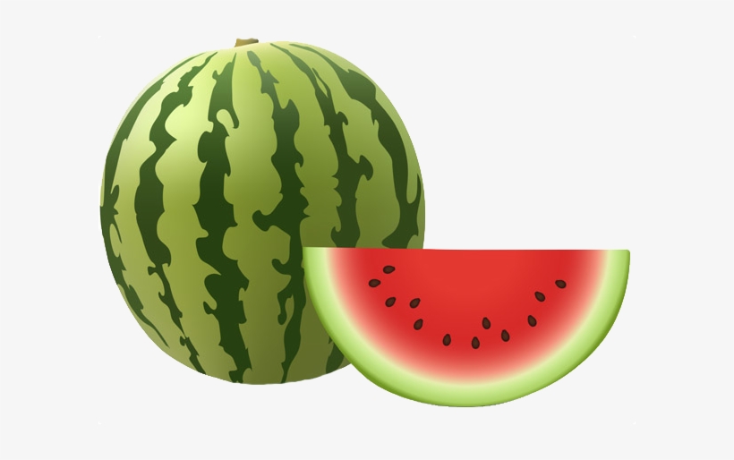 Watermelon Png Picture - Free Clip Art Watermelon, transparent png download