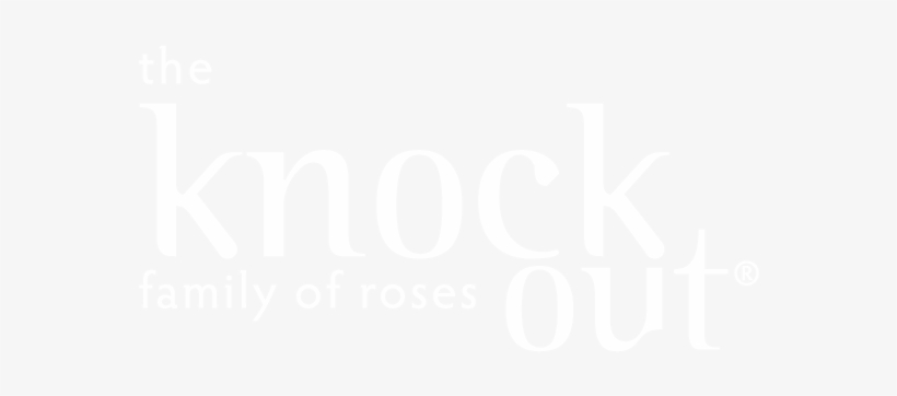 Samsung Logo White Png, transparent png download