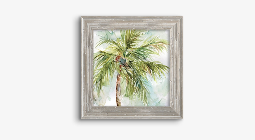 Coconut Palm - Palm Trees, transparent png download