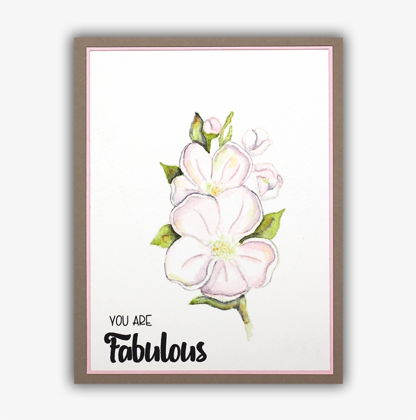 Dogwood Watercolor Card By Understand Blue - Lily, transparent png download