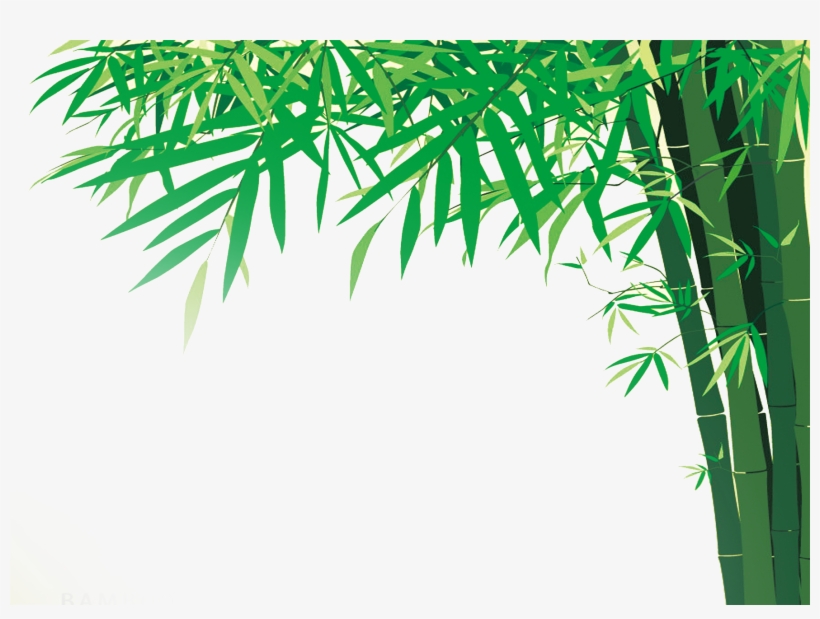 Antique Bamboo Print Pillow Case, transparent png download