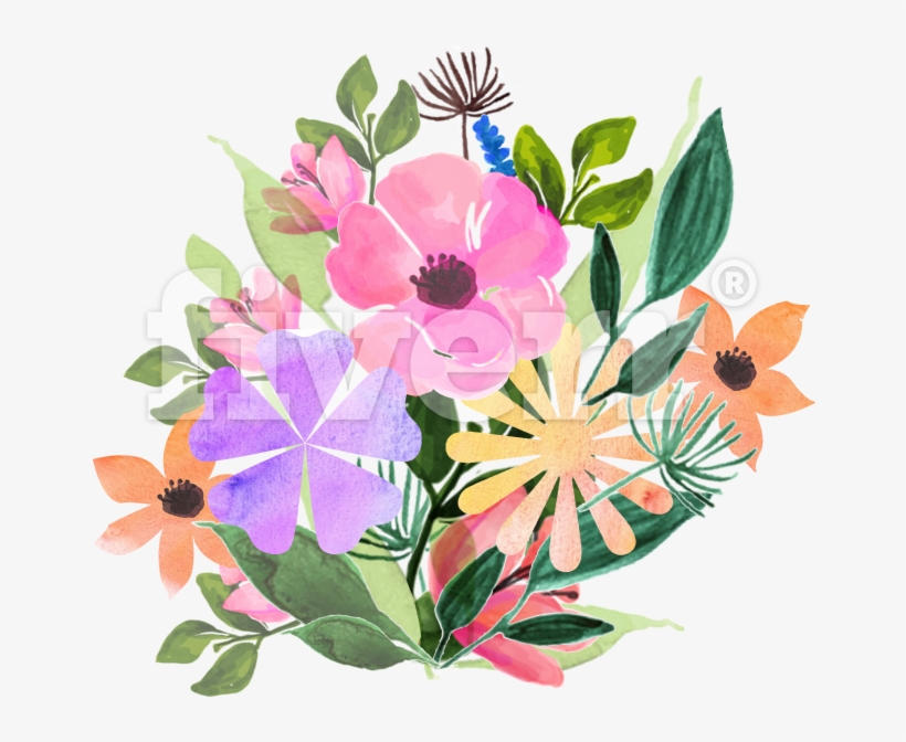 Rosa Glauca, transparent png download