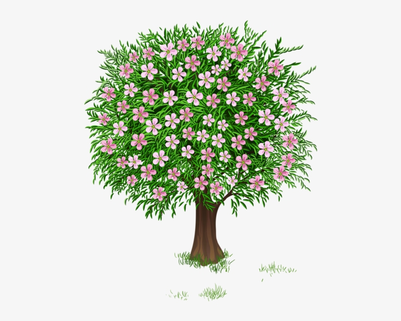 Весна Дерево Прозрачный Png Изображения Clipart - Spring Tree Clipart, transparent png download