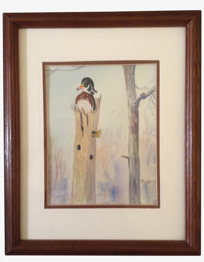 Boden Portwood, Wood Duck Sitting On Nest In Stump, - Picture Frame, transparent png download