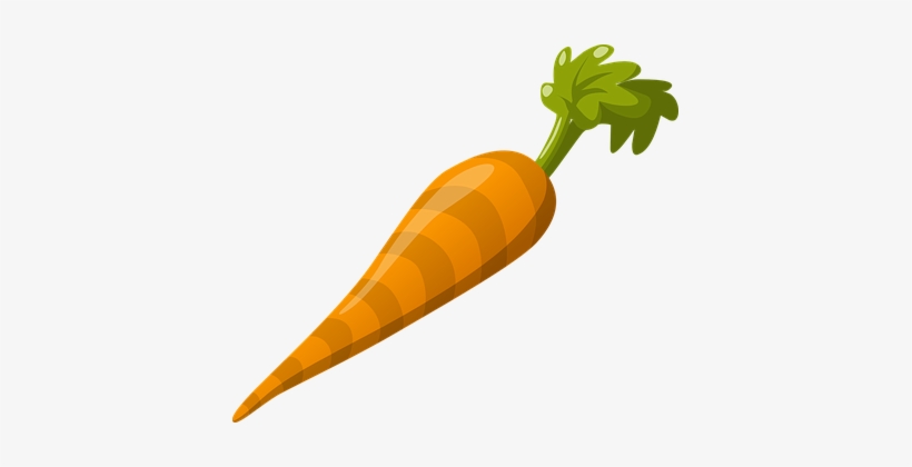 Carrot Vegetable Food Fresh Healthy Organi - Carrot Clipart Png, transparent png download