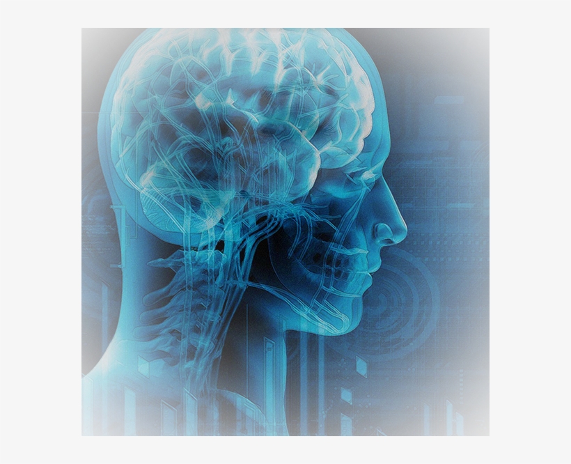There Has Been A Common Misconception For Many Years - Modern Aspects And Treatment Of Epilepsy, transparent png download