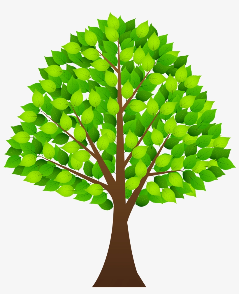 28 Collection Of Plant Leaf Clipart Png High Quality - Tree Clipart Transparent Background, transparent png download