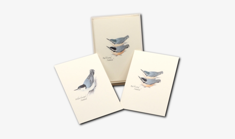 Shopping Cart -  -  - Gull, transparent png download