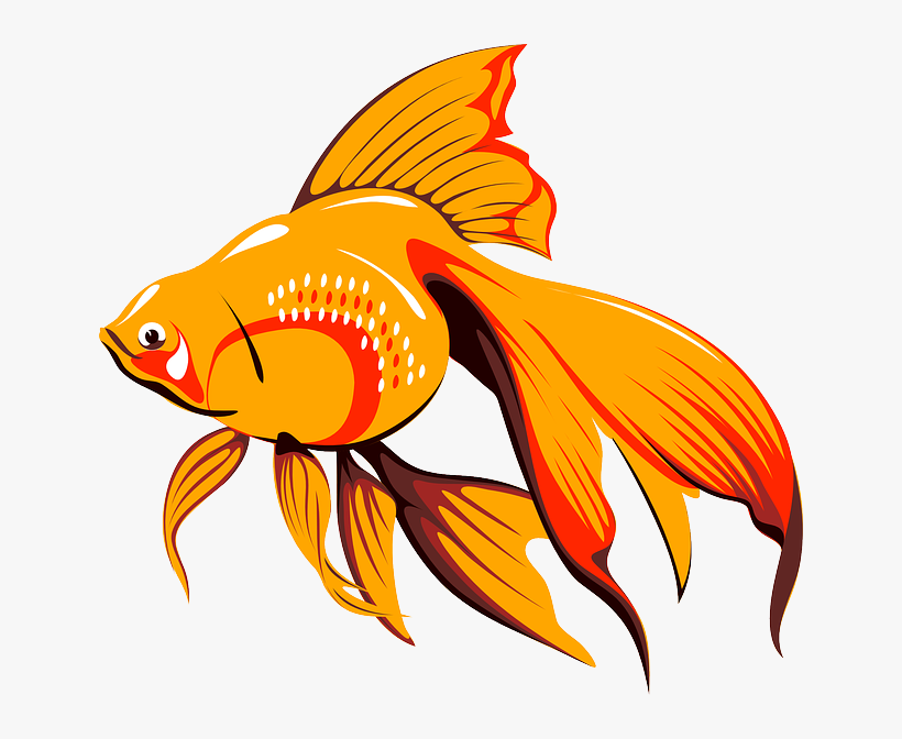 Clip Art Golden Vector Online Royalty Free - Cafepress Goldfish Queen Duvet, transparent png download