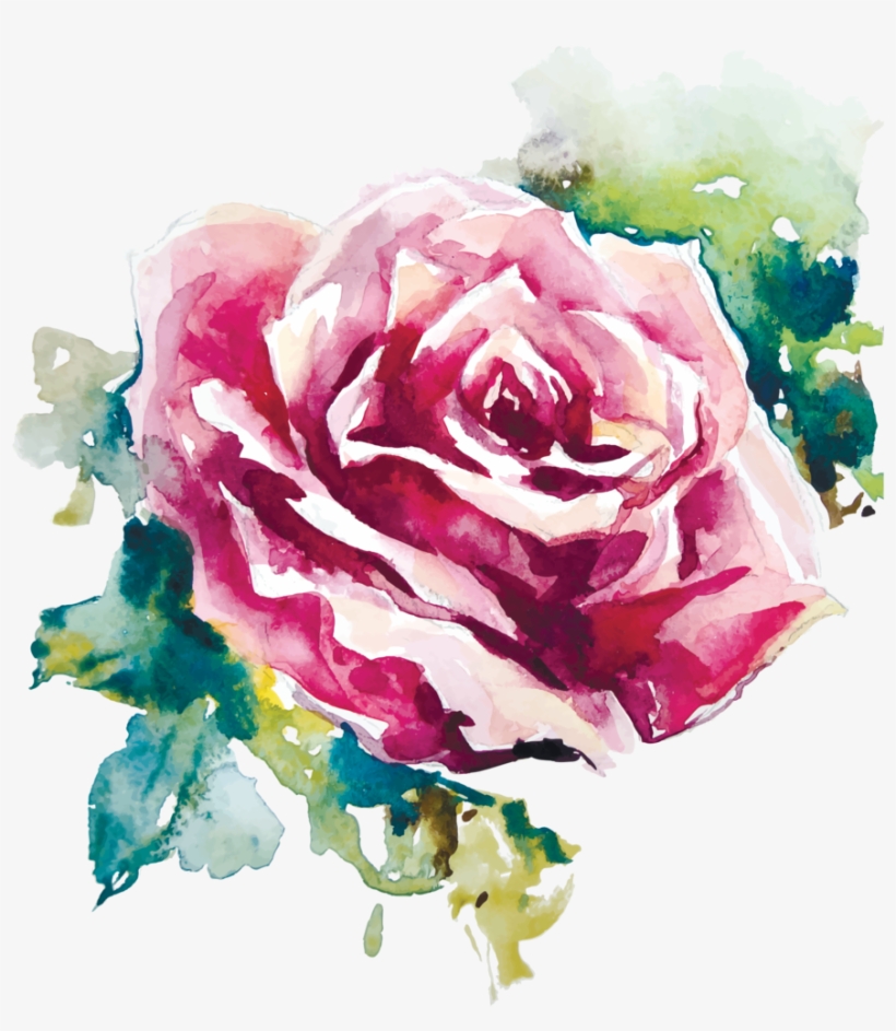 Rose Vector - Rose Painting Vector, transparent png download