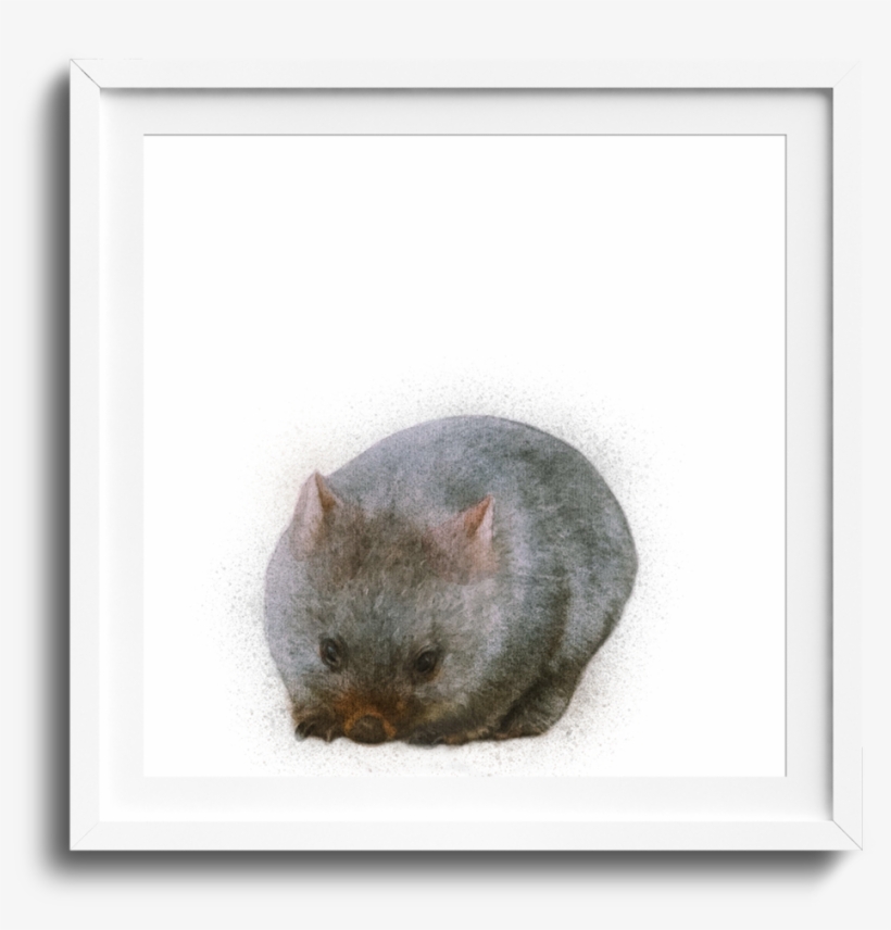 Watercolour Wombat Hand-drawn Art Print - Wombat, transparent png download