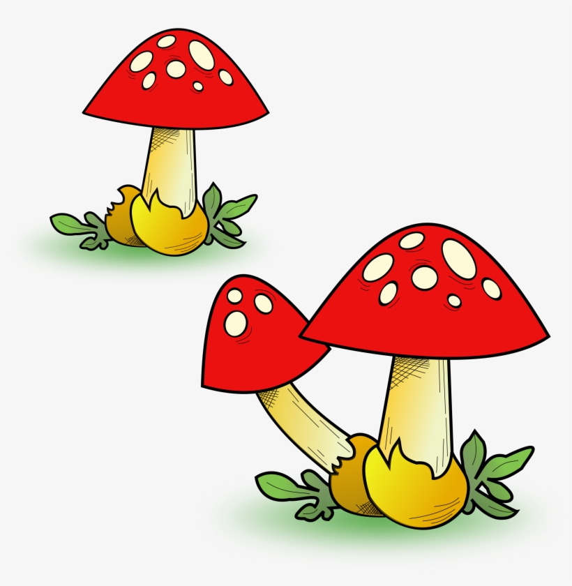 This Free Icons Png Design Of Heavy Fungal Forest, transparent png download