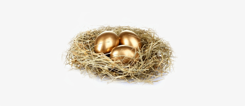 Golden Eggs Png - Make Money From Freelance Writing: Teach Yourself, transparent png download