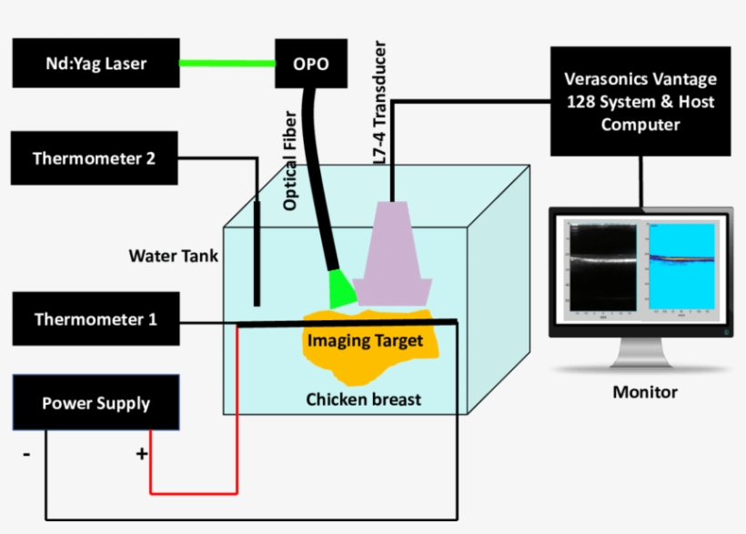 The Imaging Target Is Placed Inside The Chicken Breast - Photoacoustic Imaging, transparent png download
