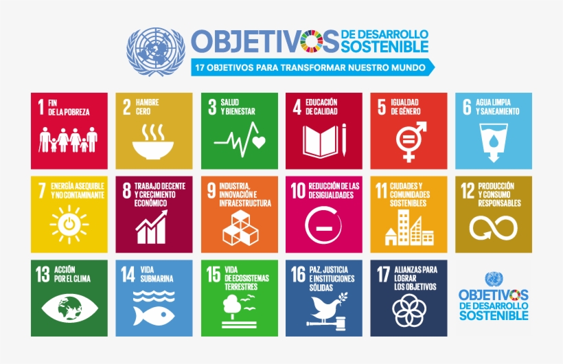 De Las Ciudades Cómo Vamos, Un Tema Clave Que Es Necesario - Sustainable Development Goals 日本 語, transparent png download