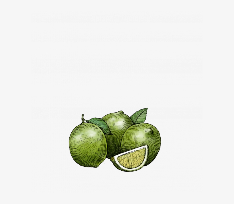 Key Lime White Balsamic Vinegar - Key Lime, transparent png download