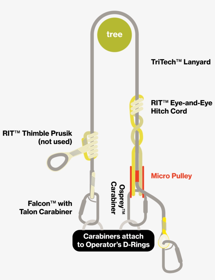 Standard Configuration - Diagram, transparent png download