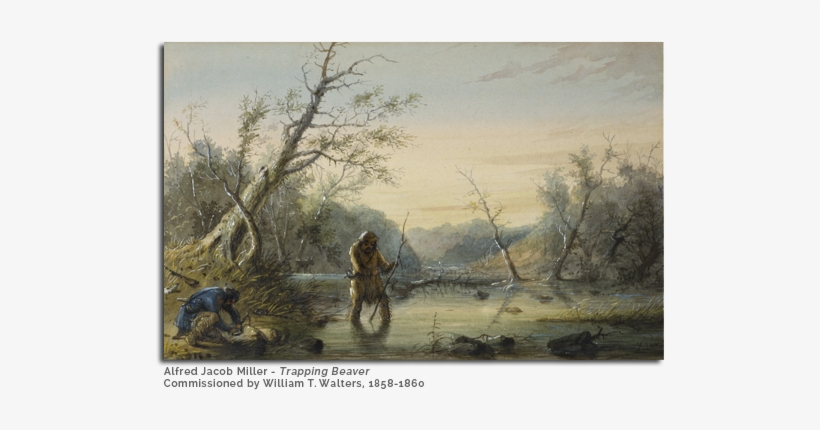 19th Century Painting Depicting Trappers Hunting Beaver - Life Story Of An Otter [book], transparent png download