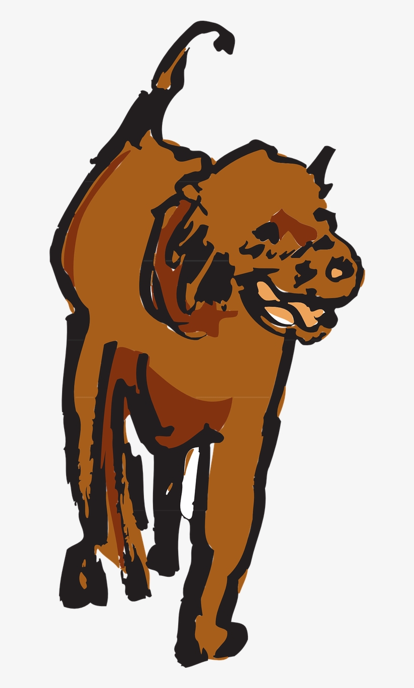 Fur, transparent png download