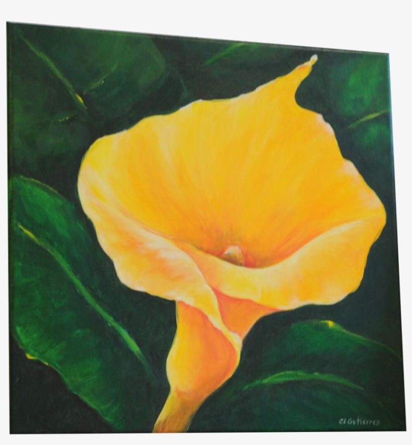 Acrylic On Canvas - Eschscholzia Californica, transparent png download