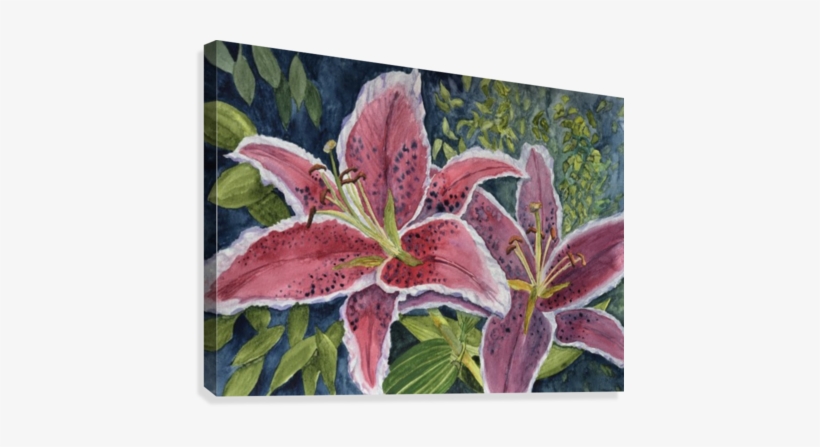 Tiger Lilies Canvas Print - Artist, transparent png download