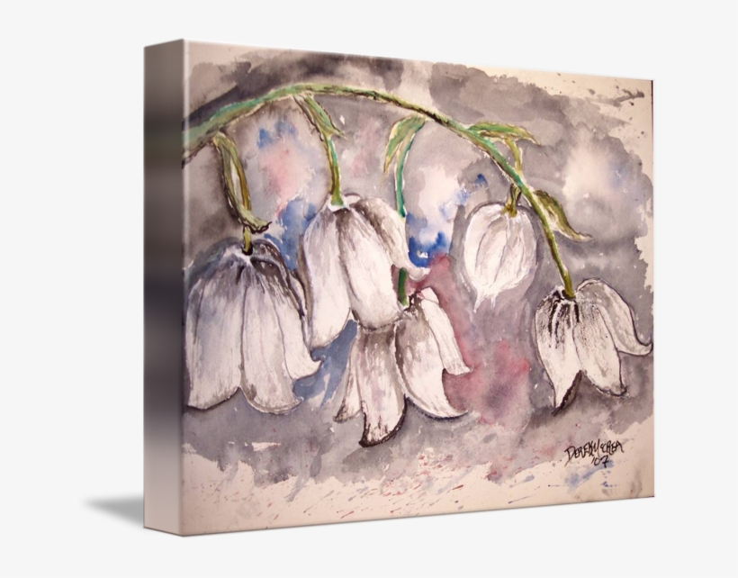 Go To Image - Gallery-wrapped Canvas Art Print 15 X 11 Entitled Lily, transparent png download